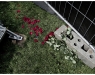 sen_nl_westerpop-19